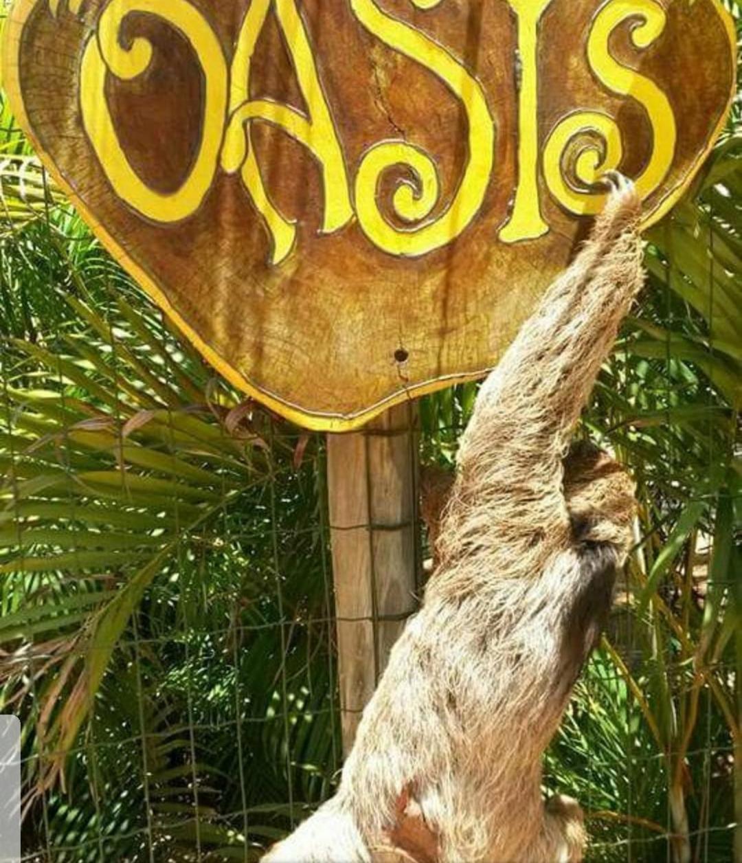 Chale "Oasis" Villa Прая до Форте Екстериор снимка